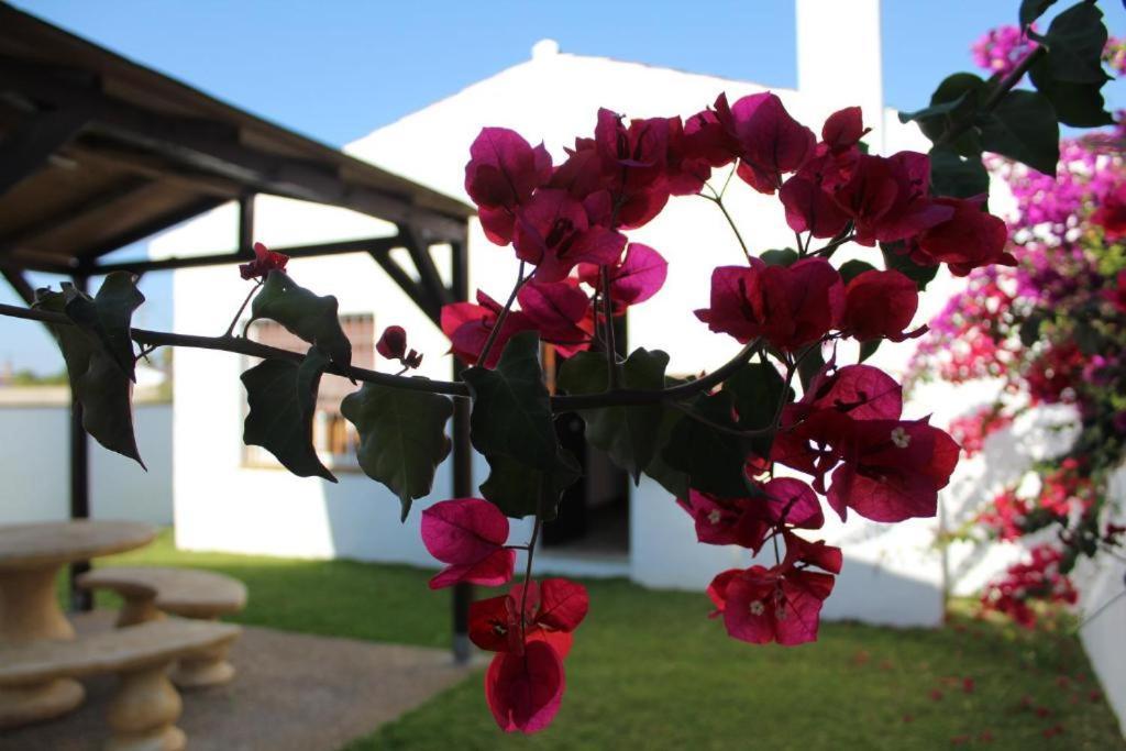 Hacienda Los Majadales Conil De La Frontera Dış mekan fotoğraf