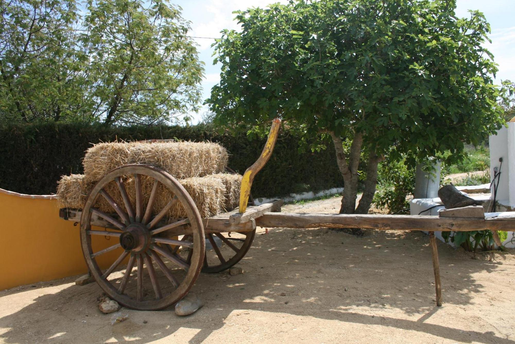 Hacienda Los Majadales Conil De La Frontera Dış mekan fotoğraf